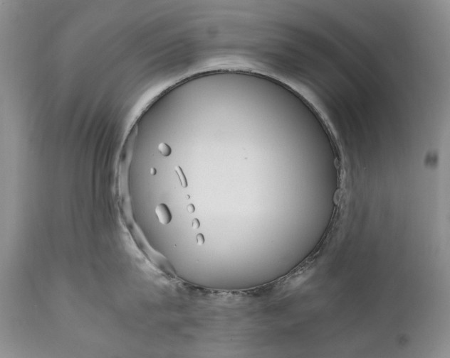 X0000110930815200907021522