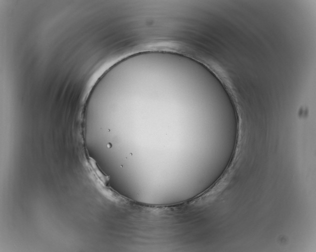 X0000110930816200907021522