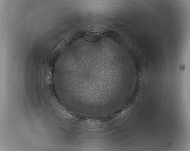 X0000110930818200907021521