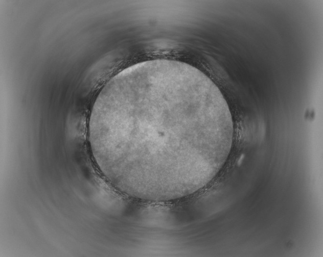 X0000110930820200907021521