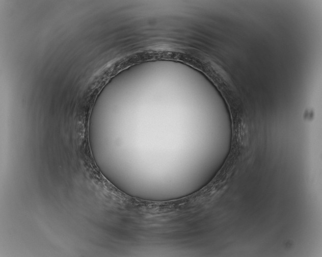 X0000110930821200907021521
