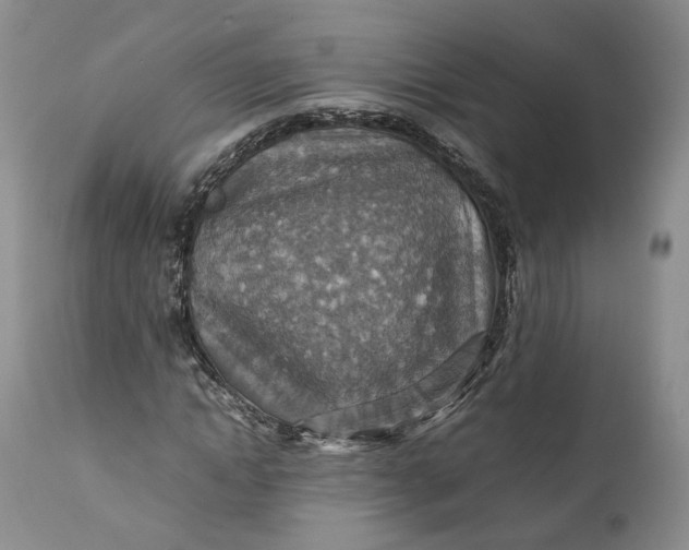 X0000110930822200907021521