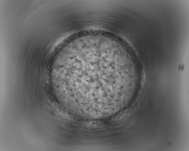 X0000110930823200907021521