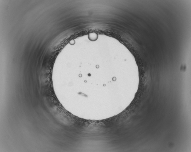 X0000110930824200907021521