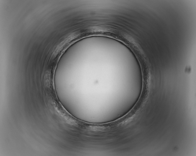X0000110930825200907021521