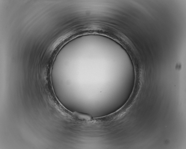X0000110930826200907021521
