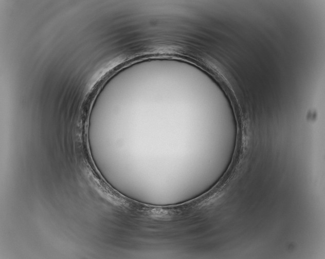 X0000110930827200907021521