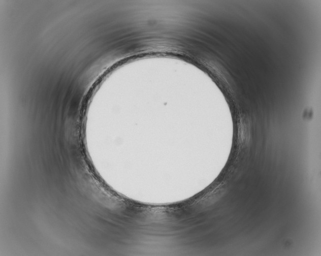 X0000110930828200907021521