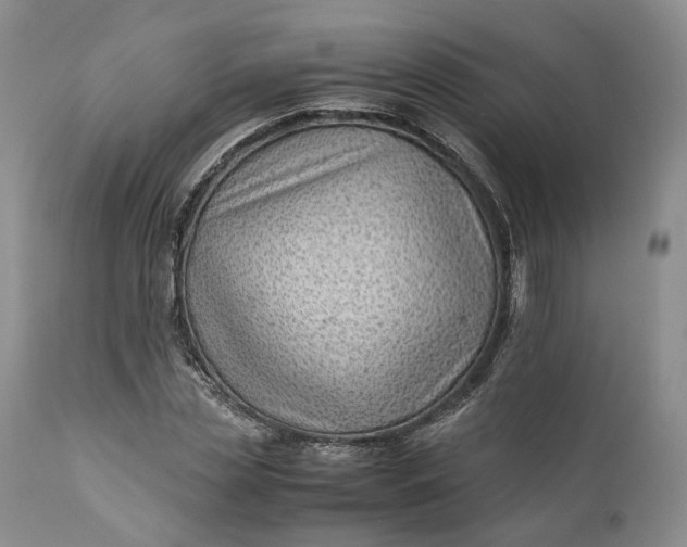 X0000110930829200907021521