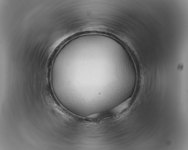 X0000110930830200907021521