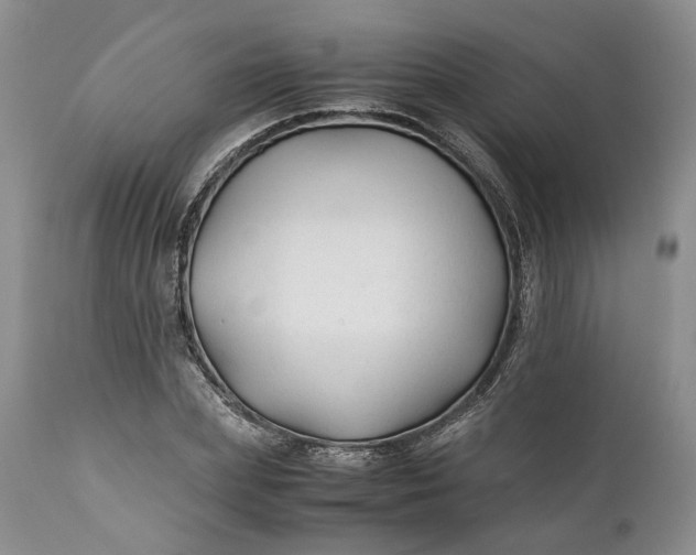 X0000110930831200907021521