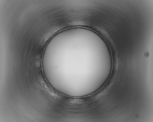 X0000110930833200907021521