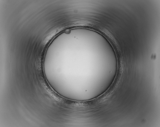 X0000110930834200907021521