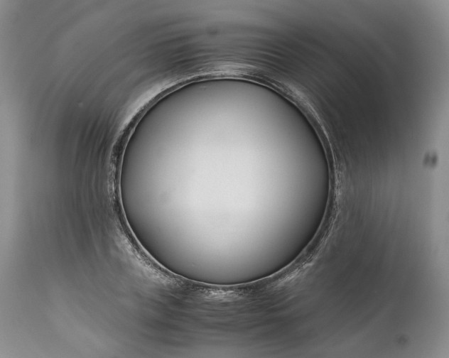 X0000110930835200907021521