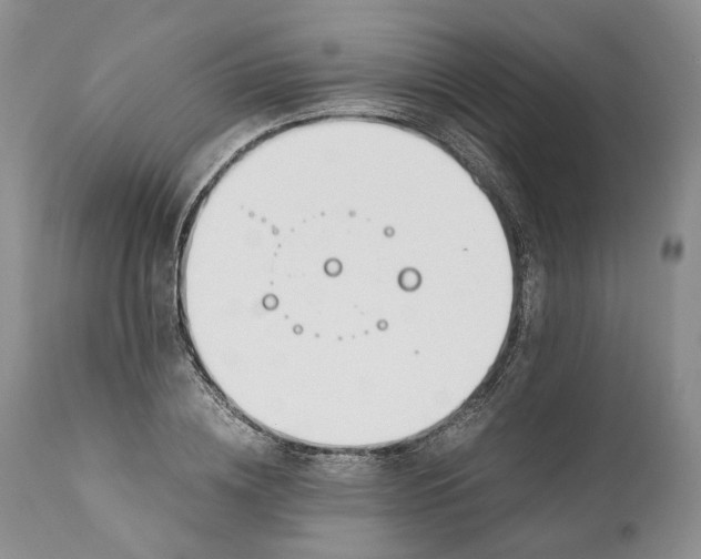 X0000110930836200907021521