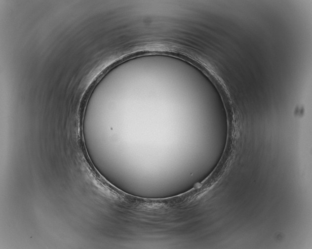 X0000110930837200907021521