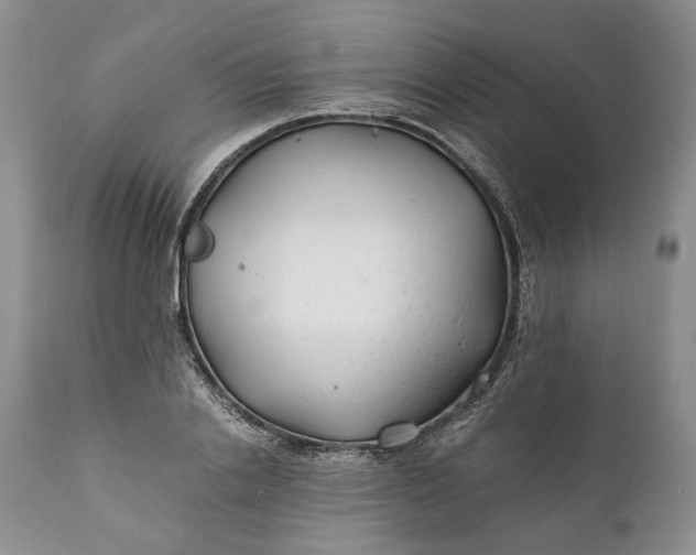 X0000110930838200907021521