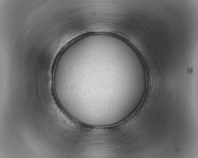 X0000110930840200907021521