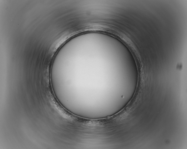 X0000110930842200907021521