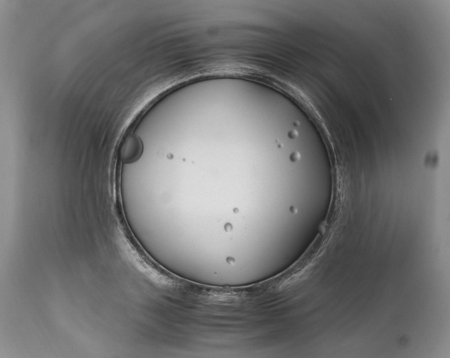 X0000110930843200907021521