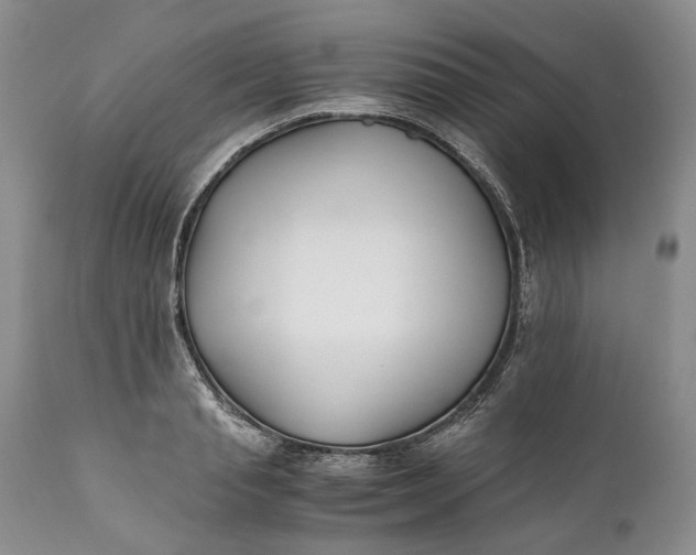 X0000110930845200907021521