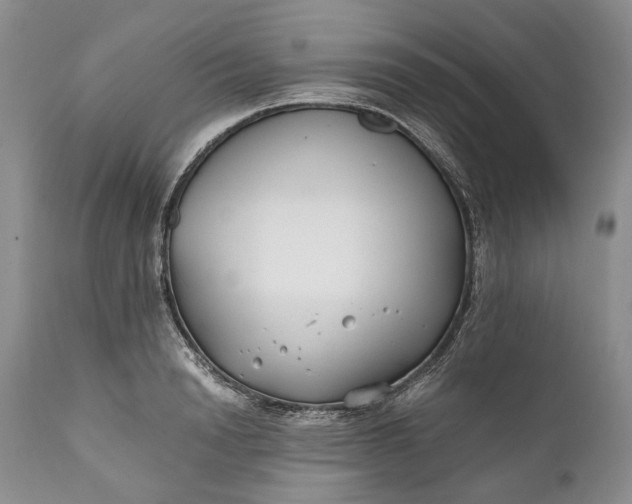 X0000110930846200907021521