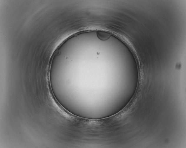 X0000110930847200907021521
