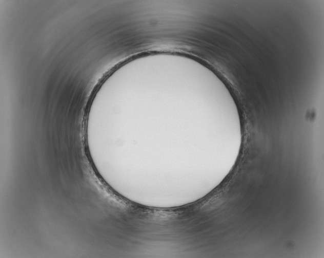 X0000110930848200907021521