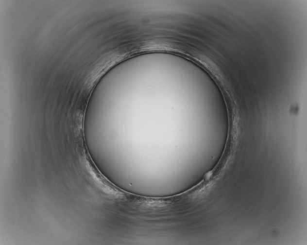 X0000110930849200907021521