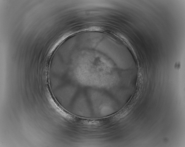 X0000110930851200907021521