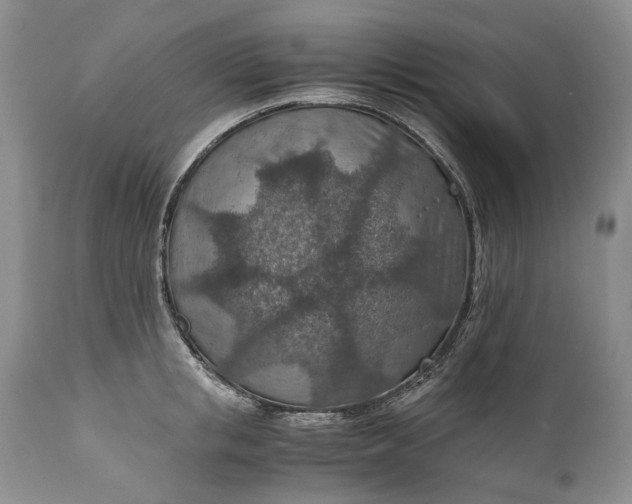 X0000110930853200907021522