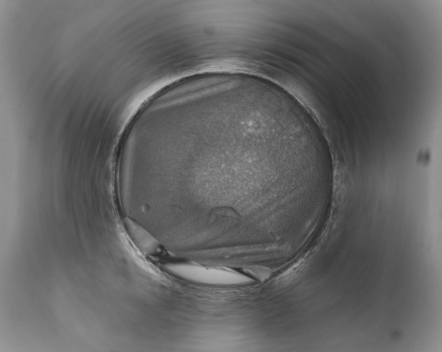 X0000110930854200907021522