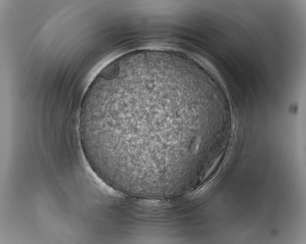X0000110930855200907021522