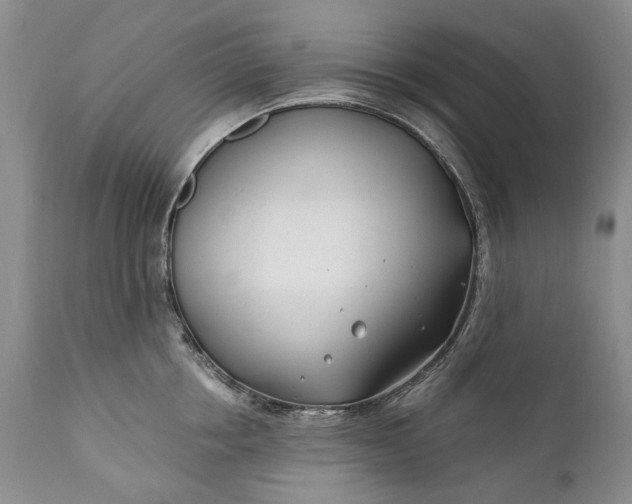 X0000110930858200907021522
