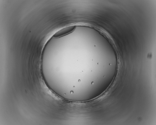 X0000110930860200907021522