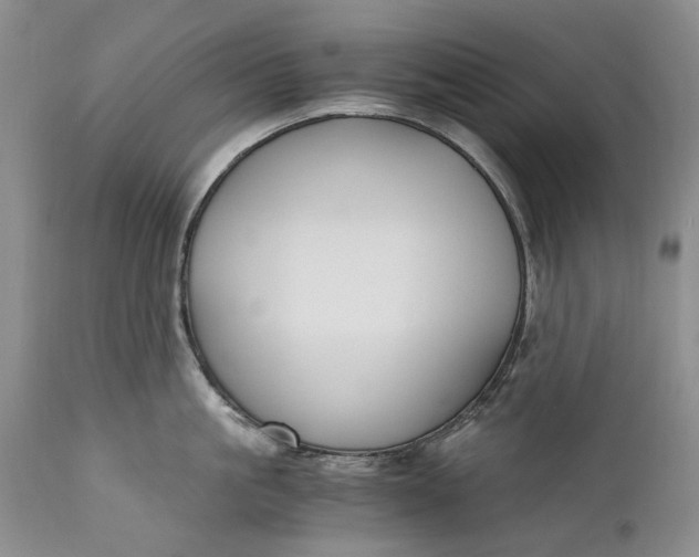 X0000110930861200907021522
