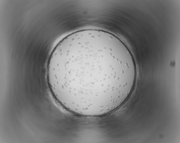 X0000110930862200907021522