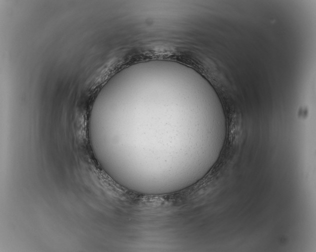 X0000110930866200907021521