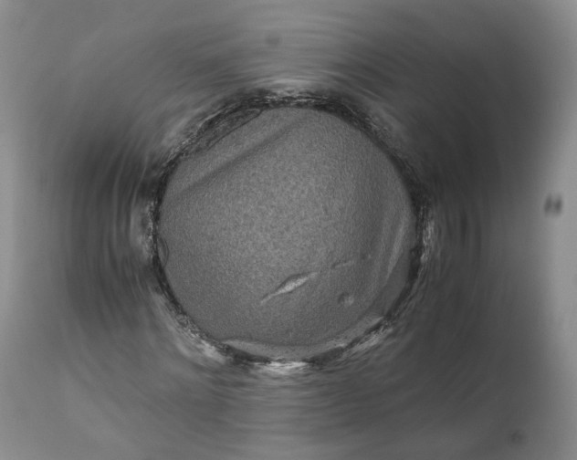 X0000110930868200907021521