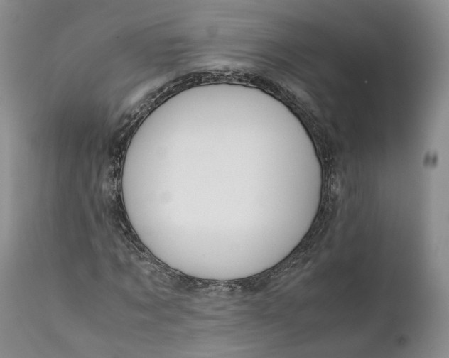 X0000110930869200907021521