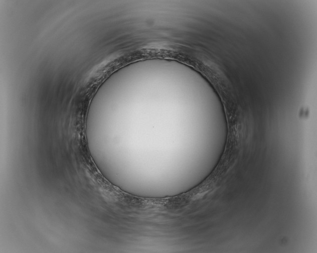 X0000110930870200907021521