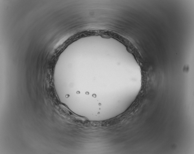 X0000110930871200907021521