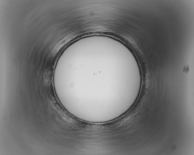 X0000110930873200907021521