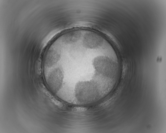 X0000110930878200907021521