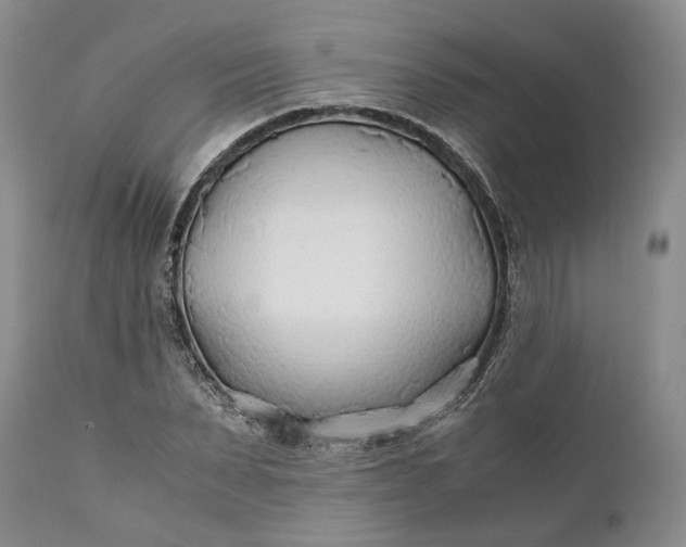 X0000110930879200907021521