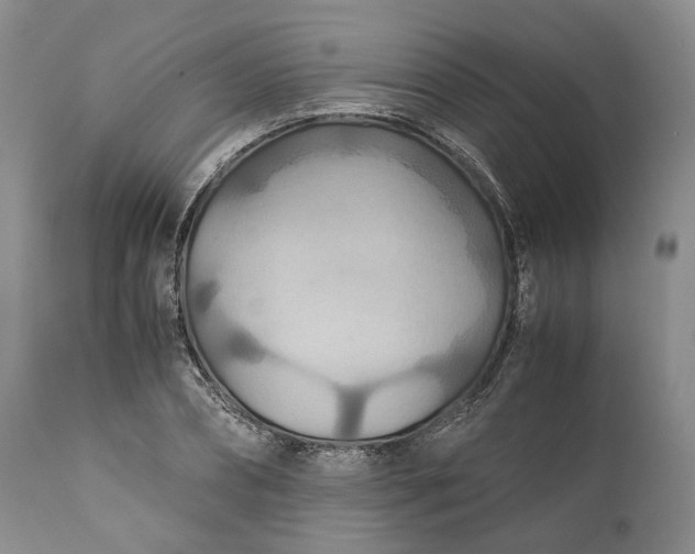 X0000110930882200907021521