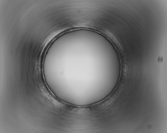 X0000110930884200907021521