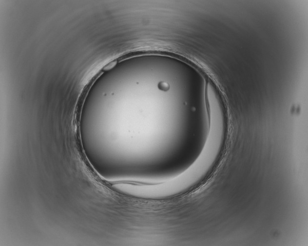 X0000110930885200907021521