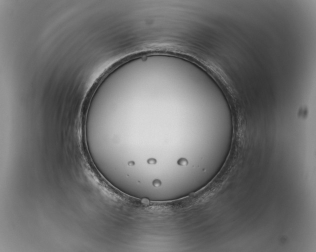 X0000110930888200907021520