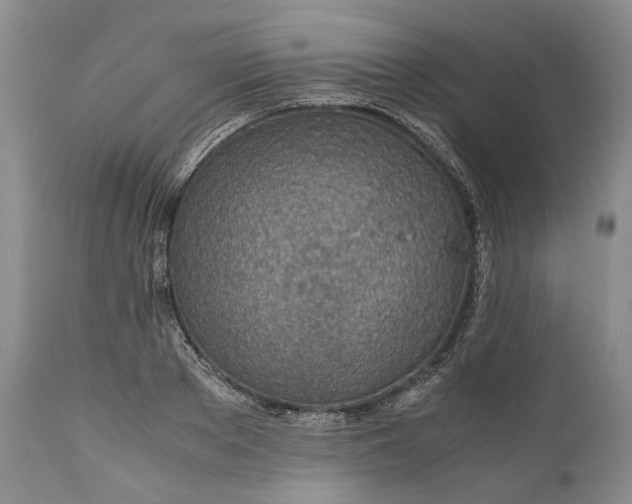 X0000110930889200907021520